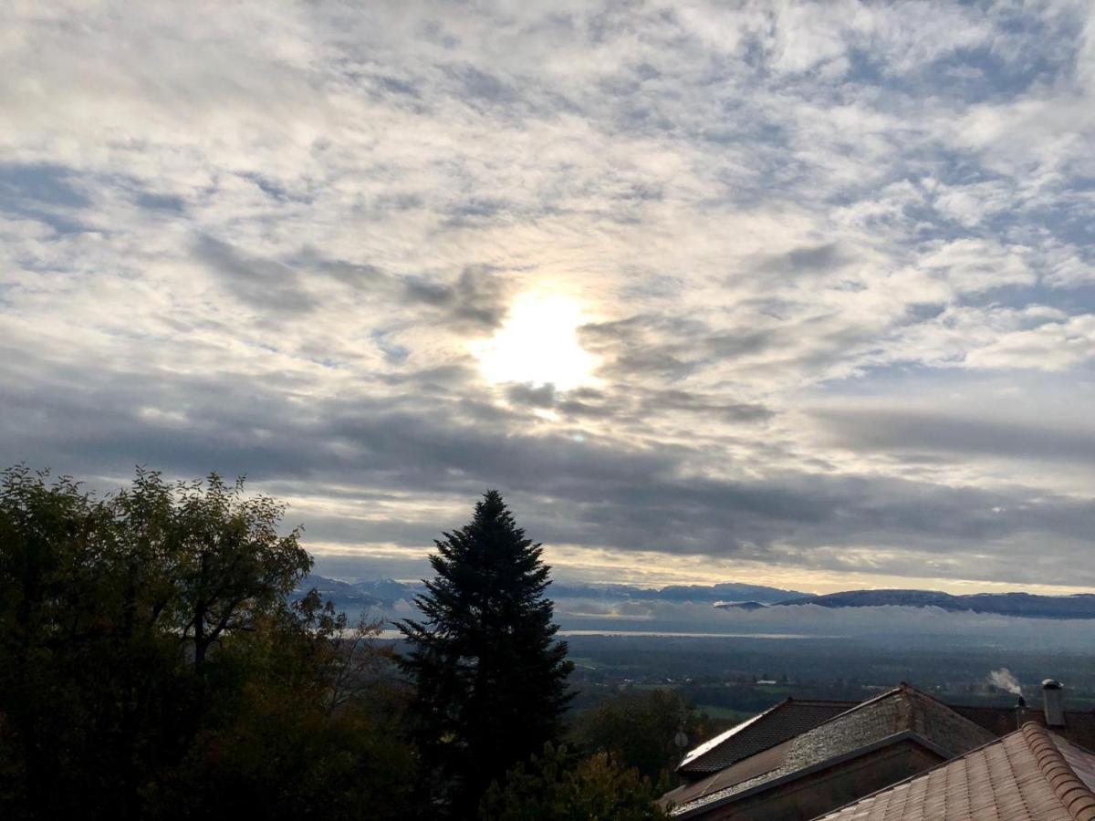 Les Lumieres De Geneve Bed & Breakfast Grilly Eksteriør bilde